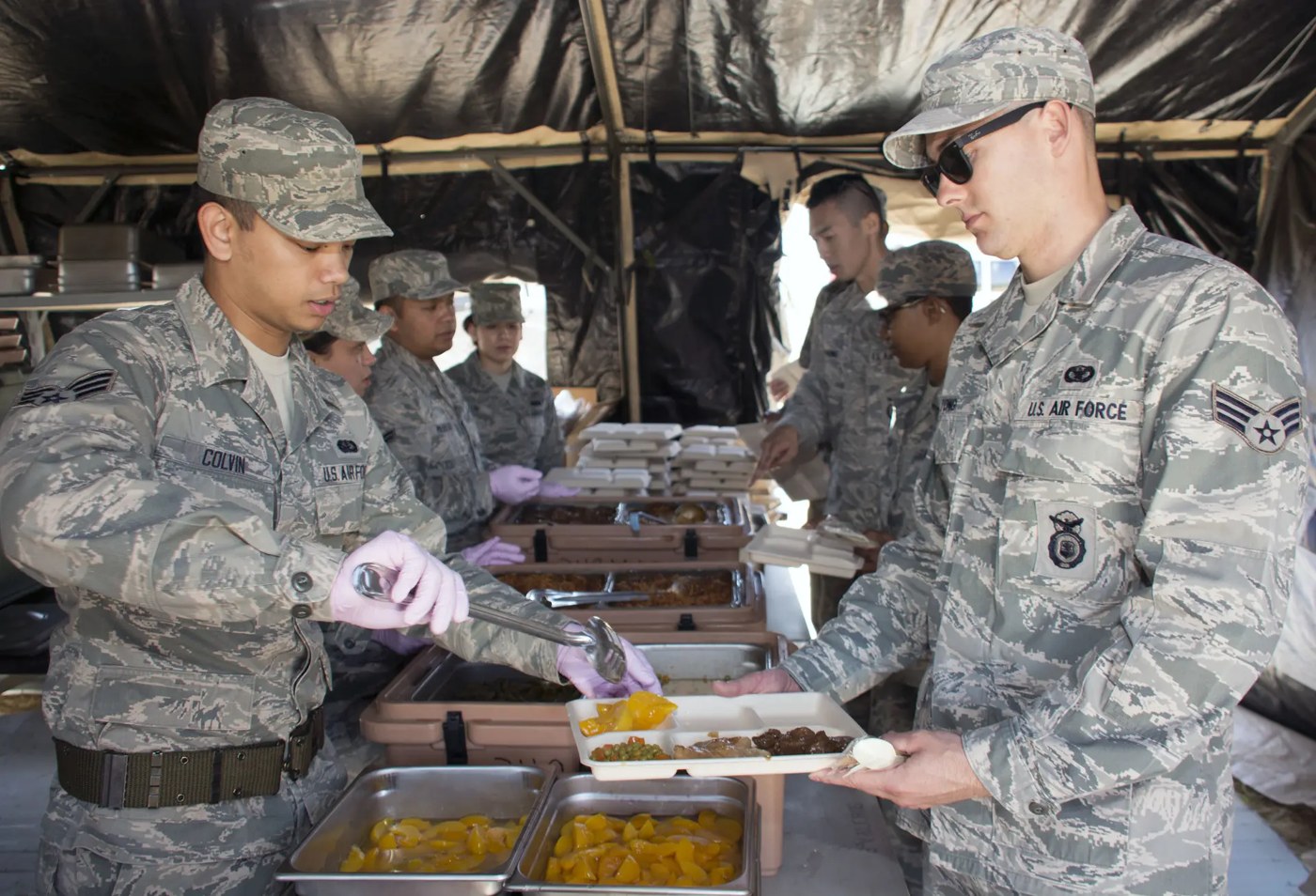 Defense and field feeding